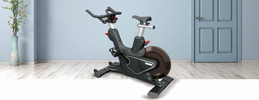 Magnetic Resistance Exercise Bike D16