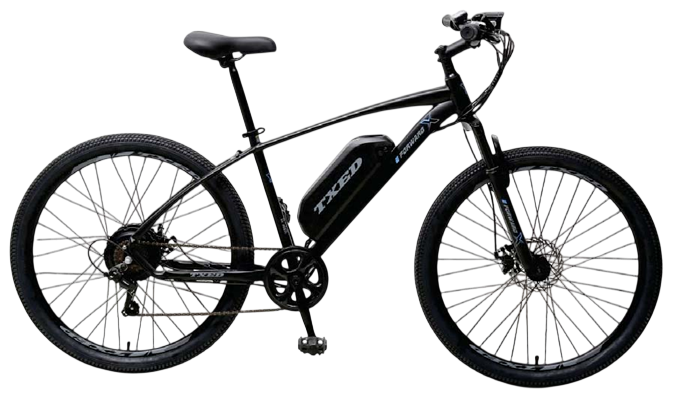e Forword X Electric Mountain Bike