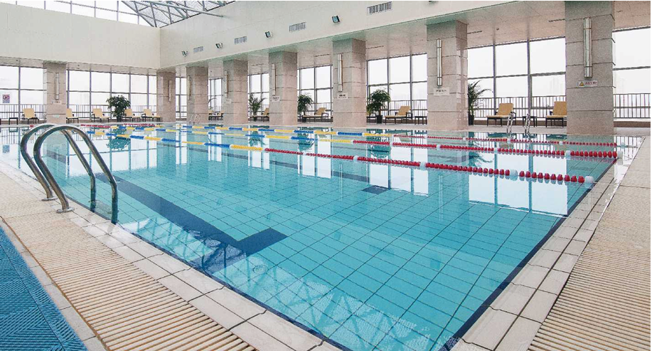 Standard Swimming Pool Tiles 240*115mm
