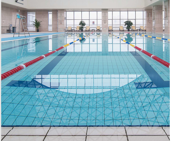 Standard Swimming Pool Tiles 244*119mm