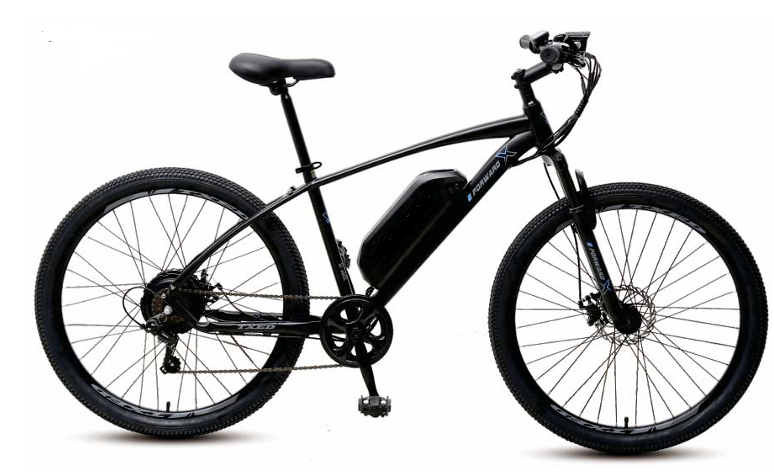 e Forword X Electric Mountain Bike