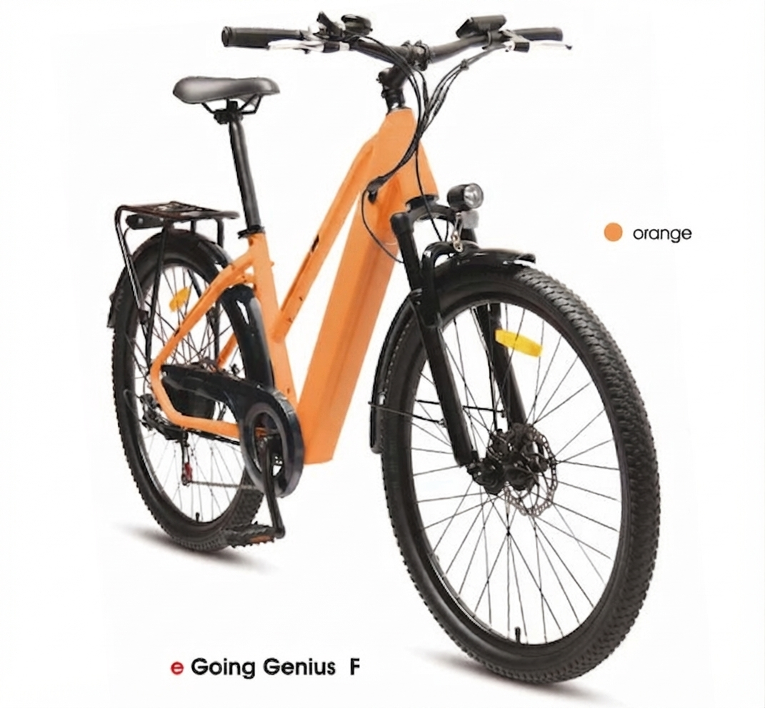 e Going Genius F Electric Hybrid Bike