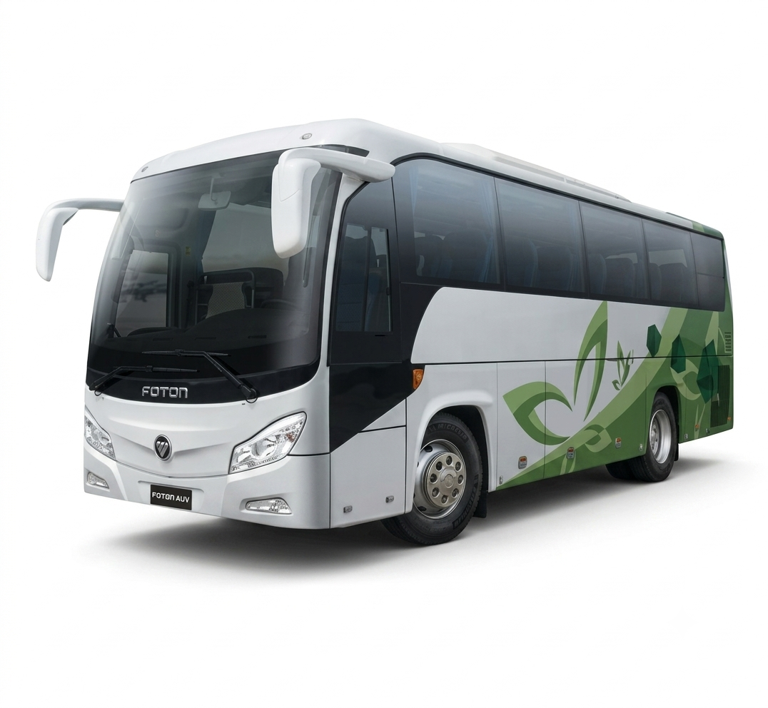 City Buses