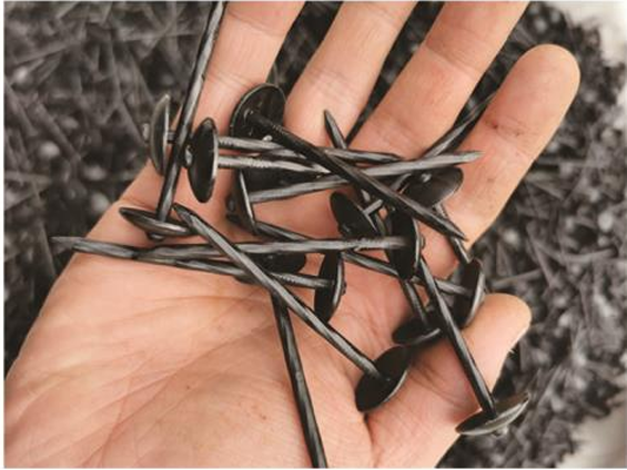 Roofing Nail
