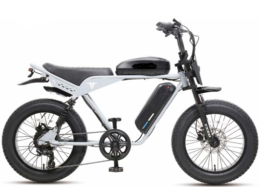e Times Tourists 750 Motorcycle Style e Fat Bike