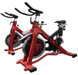 Exercise Bike D01