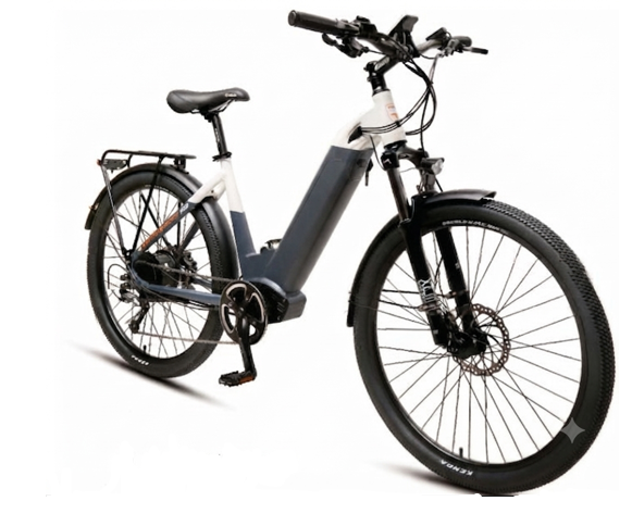 e Tough Going R9 Electric Hybrid Bike